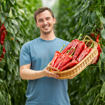 Ifj. Heinrich Gábor