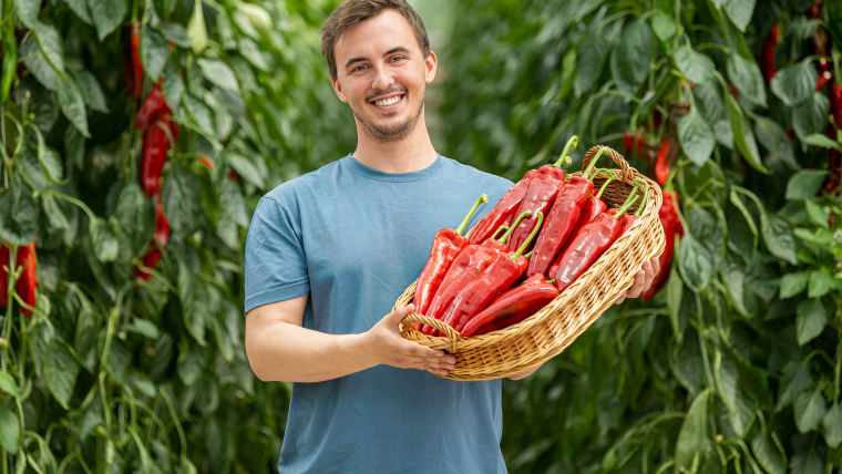 Ifj. Heinrich Gábor
