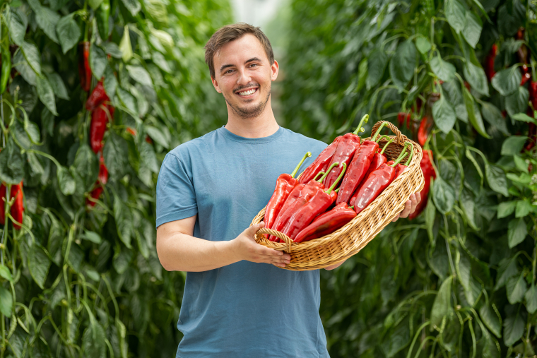 Ifj. Heinrich Gábor