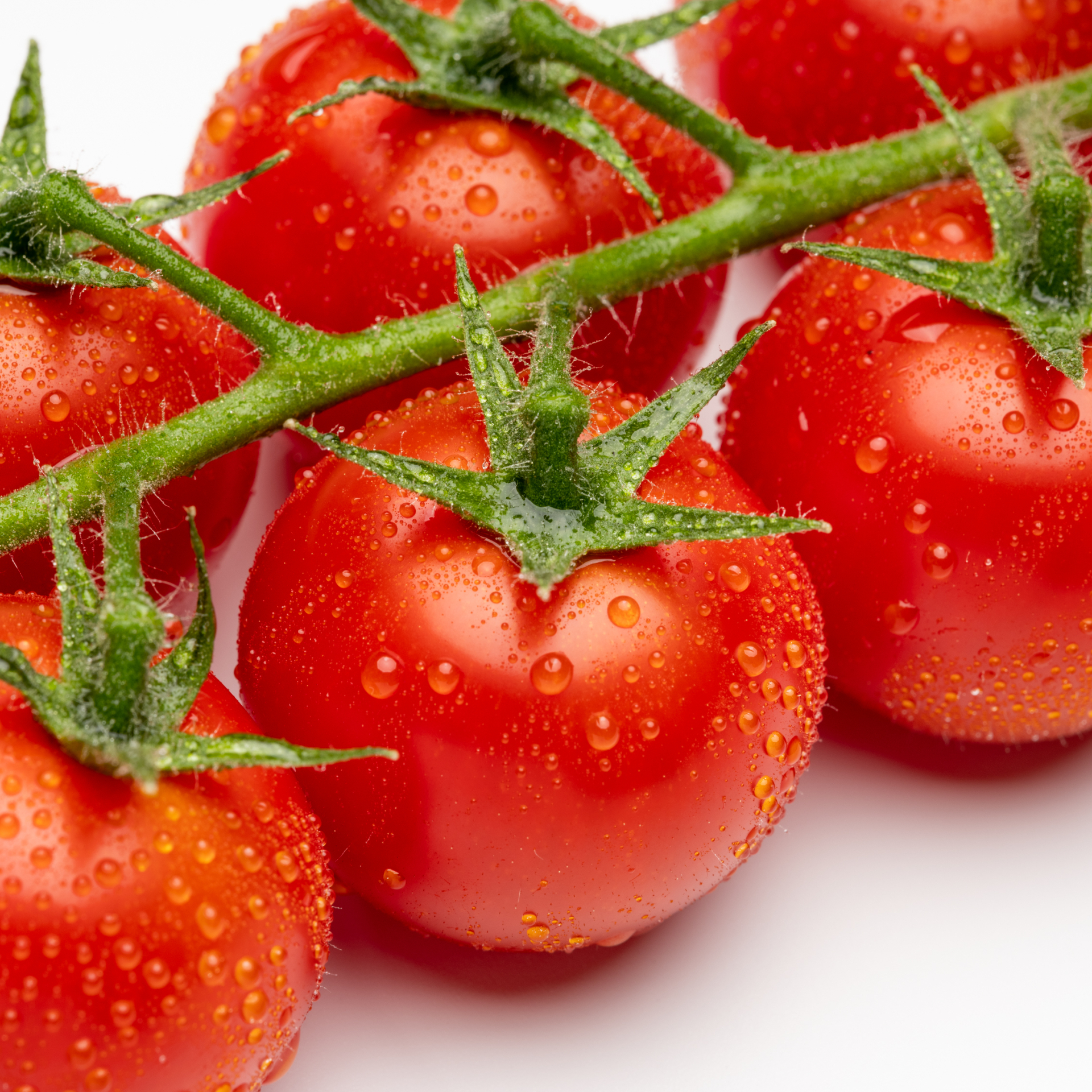 Alföldizöldség_20230331-217