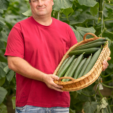 Balogh Zsolt