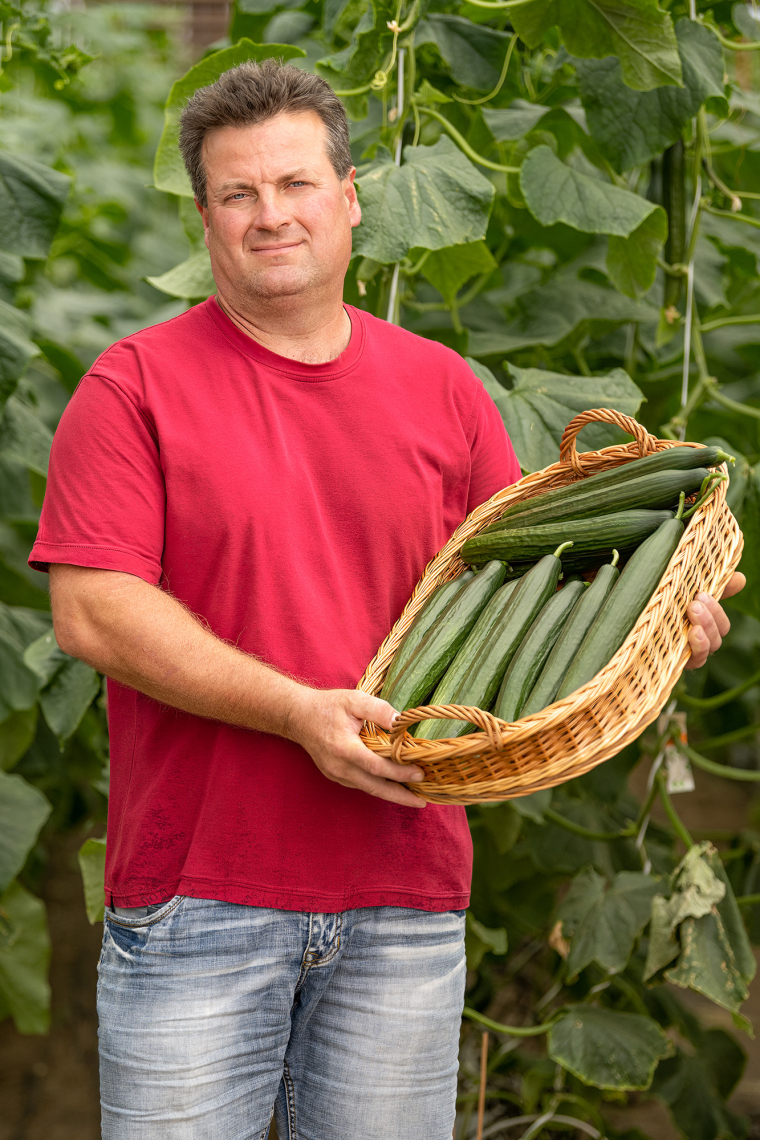 Balogh Zsolt