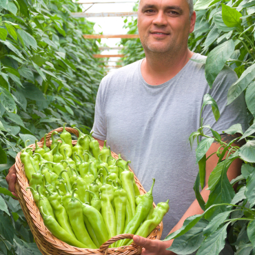 Halász Tibor