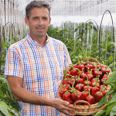 Tóth Tibor