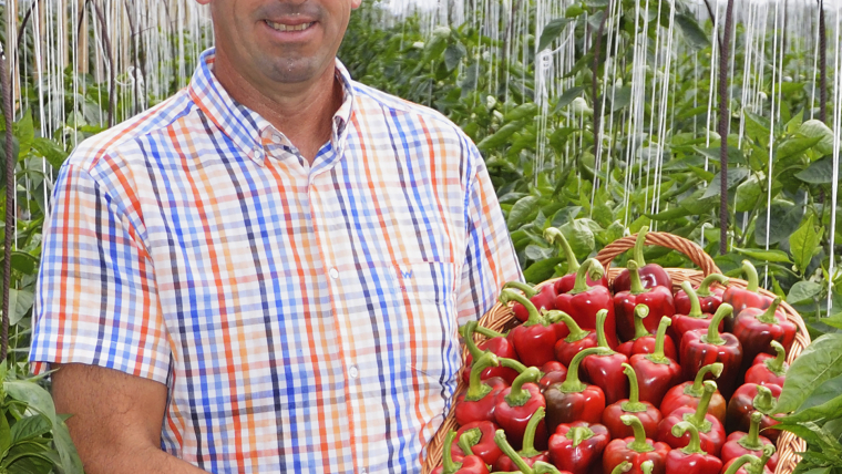 Tóth Tibor