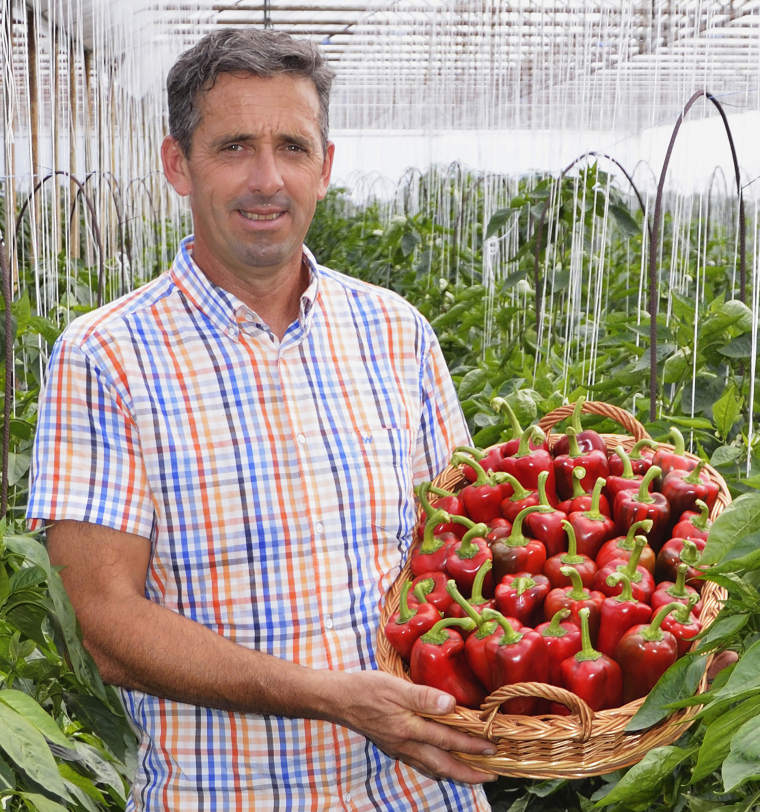 Tóth Tibor